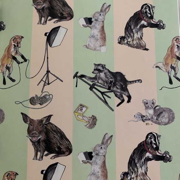 LET’S PRETEND THIS NEVER HAPPENED - A MOSTLY TRUE MEMOIR Book by Jenny Lawson - Picture 8 of 15